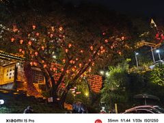 -巴倒烫陆派火锅山庄(南山总店)