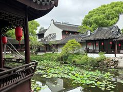 -上海醉白池公园