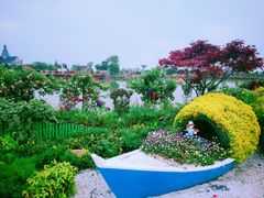 -荷兰花海