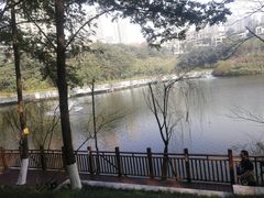 -重庆彩云湖湿地公园
