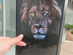 -罗红摄影艺术馆