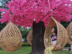 -广东花都香草世界旅游度假区