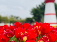 -厦门园林博览苑