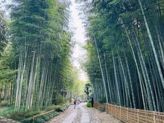 -黄公望隐居地