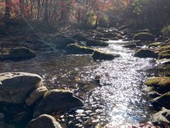 -本溪老边沟风景区