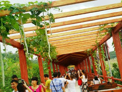 android_upload_pic-望天湖