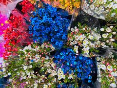 -循礼门鲜花花市(武汉循礼门店)