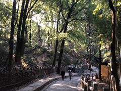 -灵岩山风景区