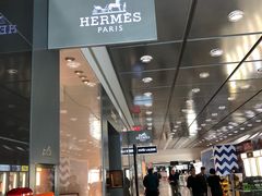 -约翰·菲茨杰拉德·肯尼迪国际机场