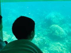 -亚龙湾海底世界