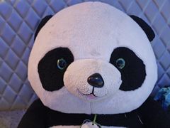 -眉州东坡(清华园店)