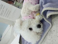 -纳吉亚猫专科动物诊疗中心(蒋宅口分院)