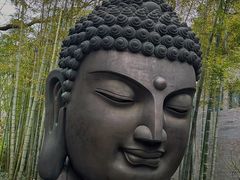 -杭州植物园