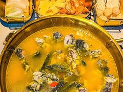 -Darling Queen·Mini·Live·House