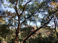 -岳麓山风景名胜区