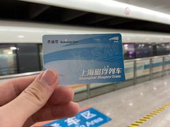 -浦东1号2号航站楼(地铁站)
