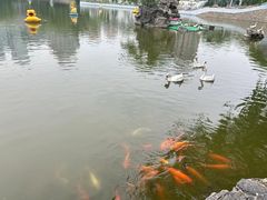 -团结湖公园