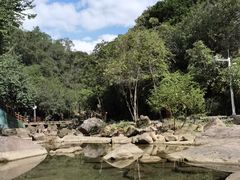 -广州白江湖森林公园