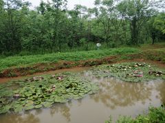 -盘龙城国家考古遗址公园