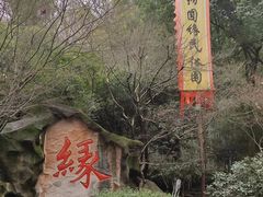 -杭州黄龙洞