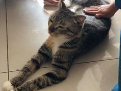 -平行世界·猫咖(首经贸店)