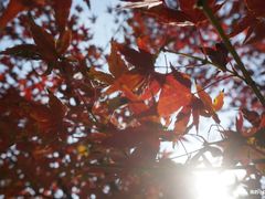 -杭州城北体育公园