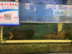 -北港方记海鲜楼·海景餐厅