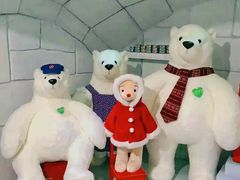 -济州岛泰迪熊博物馆