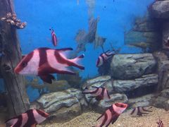 -常州海昌海洋探索馆