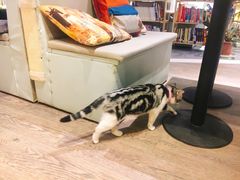 -小时光咖啡馆(开森度假森林店)