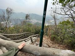 -梧桐山风景名胜区