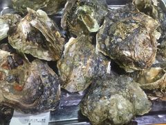 -大富蚝乌东哥饭店·石锅鱼杂·柠檬鸭(革新路店)