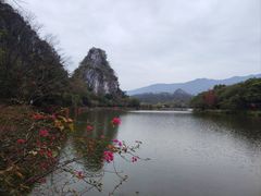 -星湖旅游景区七星岩