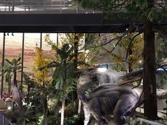 -湖南省地质博物馆