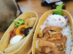 -猫小院猫主题咖啡厅(北锣店)