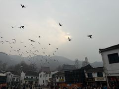 -九华山风景区