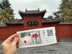 -洛阳白马寺