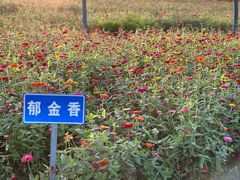 -嘉北郊野公园