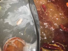 -蜀留香火锅·始于1999·原四川老火锅(白堤路店)