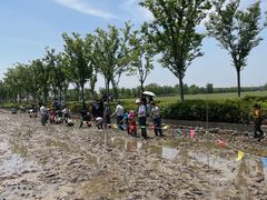 -嘉北郊野公园
