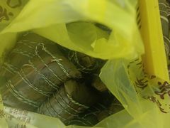 -召稼楼永茂昌粽子大王