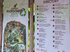 -大象粑粑造纸公园