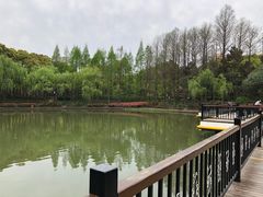 -黄兴公园
