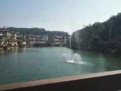 -铁山坪森林公园