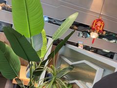 -湊湊火锅·茶憩(皇姑万象汇店)