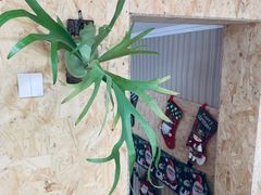 -Rabbit Cafe私房西餐甜点咖啡(栖霞路店)