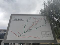 -王顺山国家森林公园