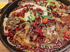 -老板恋上鱼(恒隆广场店)