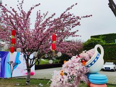 -三圣花乡旅游区