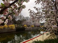 -元大都城垣遗址公园